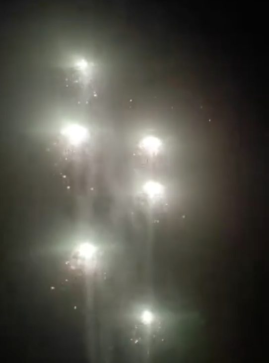 SL009 Сибирь Летающий фейерверк Медузы 20/1